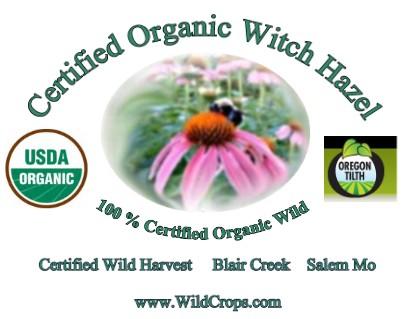 Order Certified Organic Witch Hazel